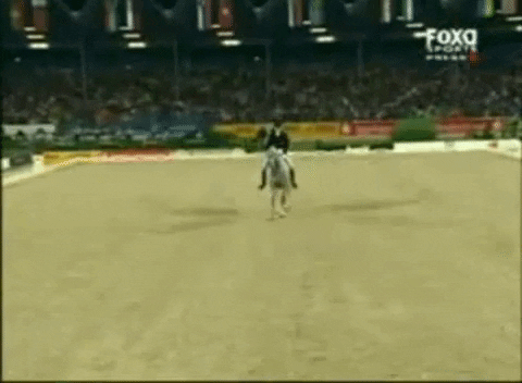 k1k1chan giphygifmaker dressage tempi blu hors matinee GIF
