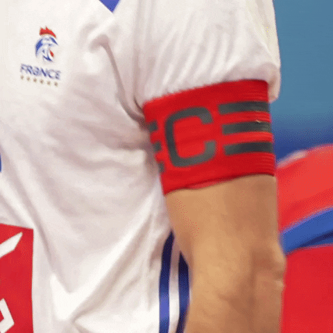 Ffhandball GIF by Fédération Française de Handball