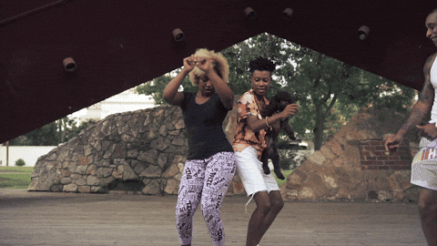 ritabrentcomedy giphyupload dance dancing dog GIF