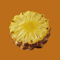 Summer Comida GIF