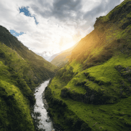 jason-nissen giphygifmaker giphyattribution jason nissen GIF