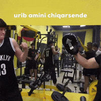 Urib Amini Chiqarsende GIF