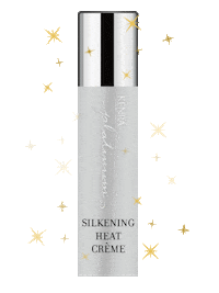 Hair Product Kenra Platinum Sticker