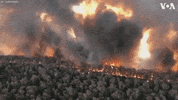 wildfire australia fires australia fire GIF
