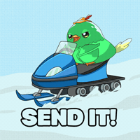 Lets Go Yolo GIF by Robbie