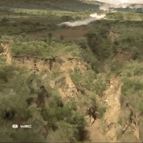 Fast Car Speed GIF by FIA World Rally Championship