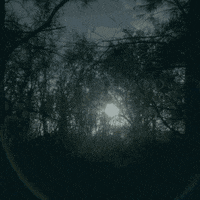 country music love GIF by Carrie Underwood