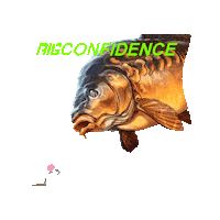 rigworxcarptackle fishing pb carp angling Sticker