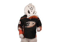 Ice Hockey Sticker by NHL