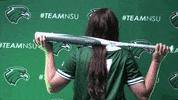 Softball GIF by RiverHawk Sports