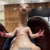 shiverchain what laugh weird look GIF