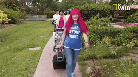 pupparazzi puppy potty face GIF by Nat Geo Wild