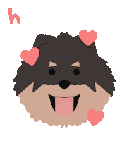 Pomeranian Sticker