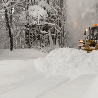 Bulldozer Powers Through Piles of Snow After Japanese Ski Area Gets Fresh Dumping