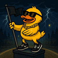 Flag Thunder GIF by Duck Race GP