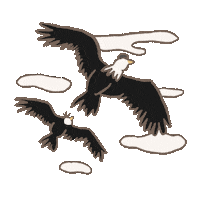 roughpaperunnie eagle soar unashamed roughpaperunnie Sticker