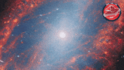 James Webb Nasa GIF by ESA Webb Space Telescope