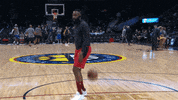 james harden basketball GIF by NBA
