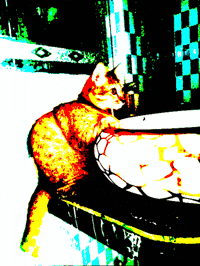 Smoosh GIF by ellaknor