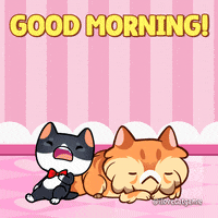 Good Morning Singing GIF by Mino Games