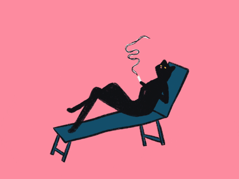 Cat Smoking GIF by gasta