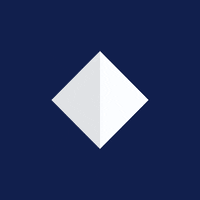 shonk 3d abstract gif artist math GIF