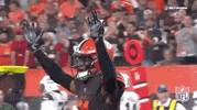 2018 nfl cleveland browns win GIF by NFL