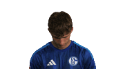 Look Up Schalke 04 Sticker by Bundesliga