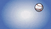 Major League Baseball Sport GIF by YES Network