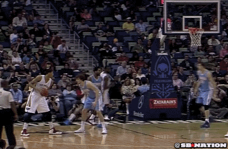 pelicans GIF by SB Nation