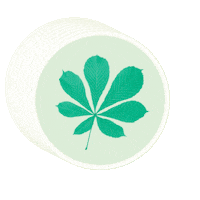 Elisabethstift bte elisabethstift estift Sticker