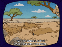 bored episode 5 GIF