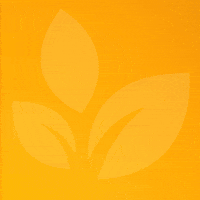 Teddy Bear GIF by Springfield Clinic