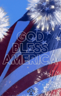 Usa Bless GIF by Murcianys LLC