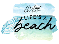 belvoirfarmusa beach flowers spring time beach life Sticker