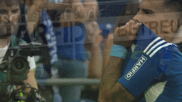 Football Love GIF by FC Schalke 04