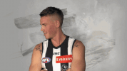 excited #forever GIF by CollingwoodFC