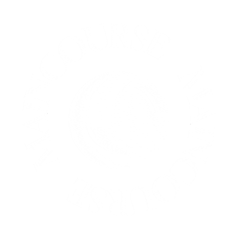 MainCourse giphyupload Sticker