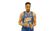 Jackson Prob Sticker by ALM EVREUX BASKET