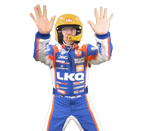 Racing Driver Sticker by Tom Coronel