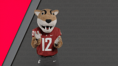 Washington State Go Cougs GIF by WSU Pullman