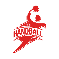 handball-Schule handball torhuter tormann handballschule Sticker
