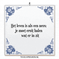 Humor Wijsheid GIF by Tegelspreuken.nl