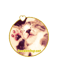 Cat Heart Sticker