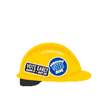 Terry Mcauliffe Vote Sticker by Creative Courage