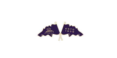 Football Tailgate Sticker by Crown Royal