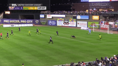 soccer goal GIF by Louisville City FC