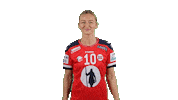 Handball Euro Sticker by EHF