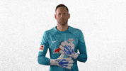 Save The Wall GIF by RB Leipzig