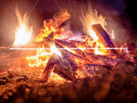 Fun Party GIF by FranchiseONE.de